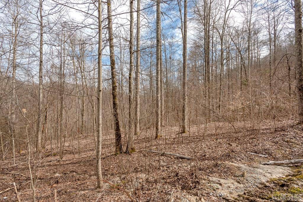 Glenville, NC 28736,Lot 60 Pilot Knob Road