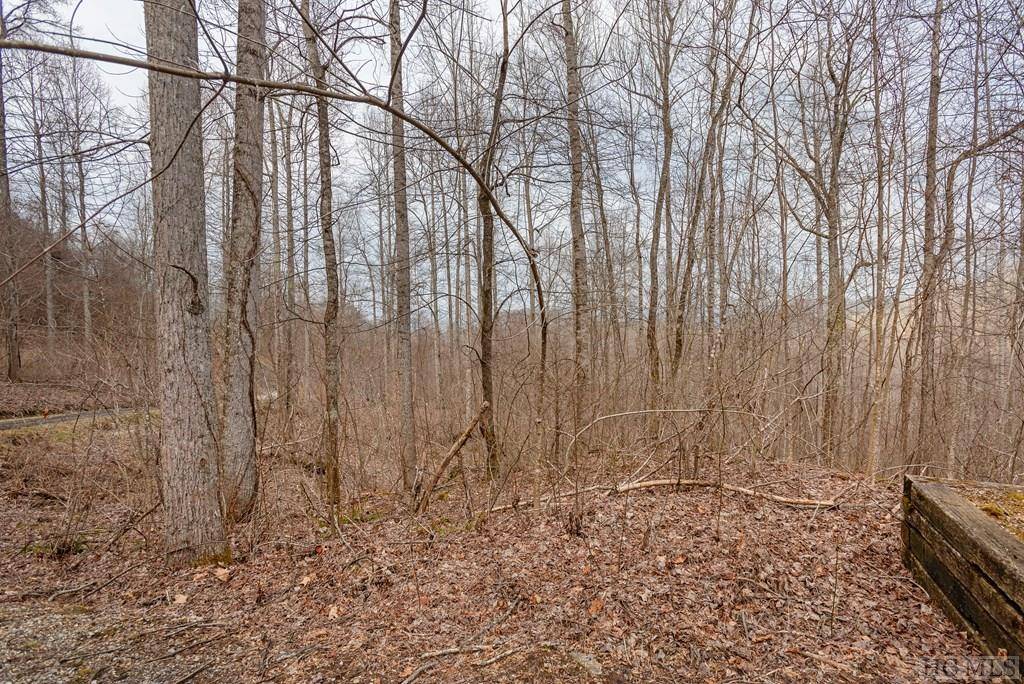 Glenville, NC 28736,Lot 60 Pilot Knob Road