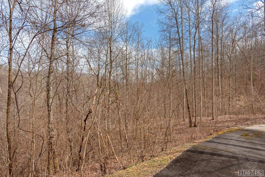 Glenville, NC 28736,Lot 60 Pilot Knob Road