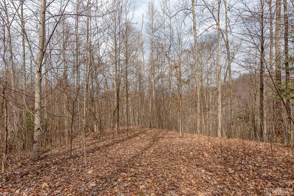 Glenville, NC 28736,Lot 62 Pilot Knob Road