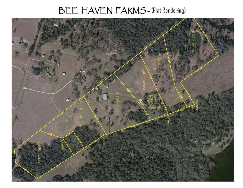 Caldwell, TX 77836,TBD County Road 315 (9.05 acres)