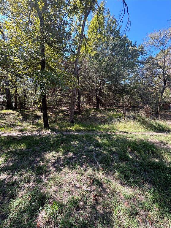 Hawk Cove, TX 75474,TBD Nada Street