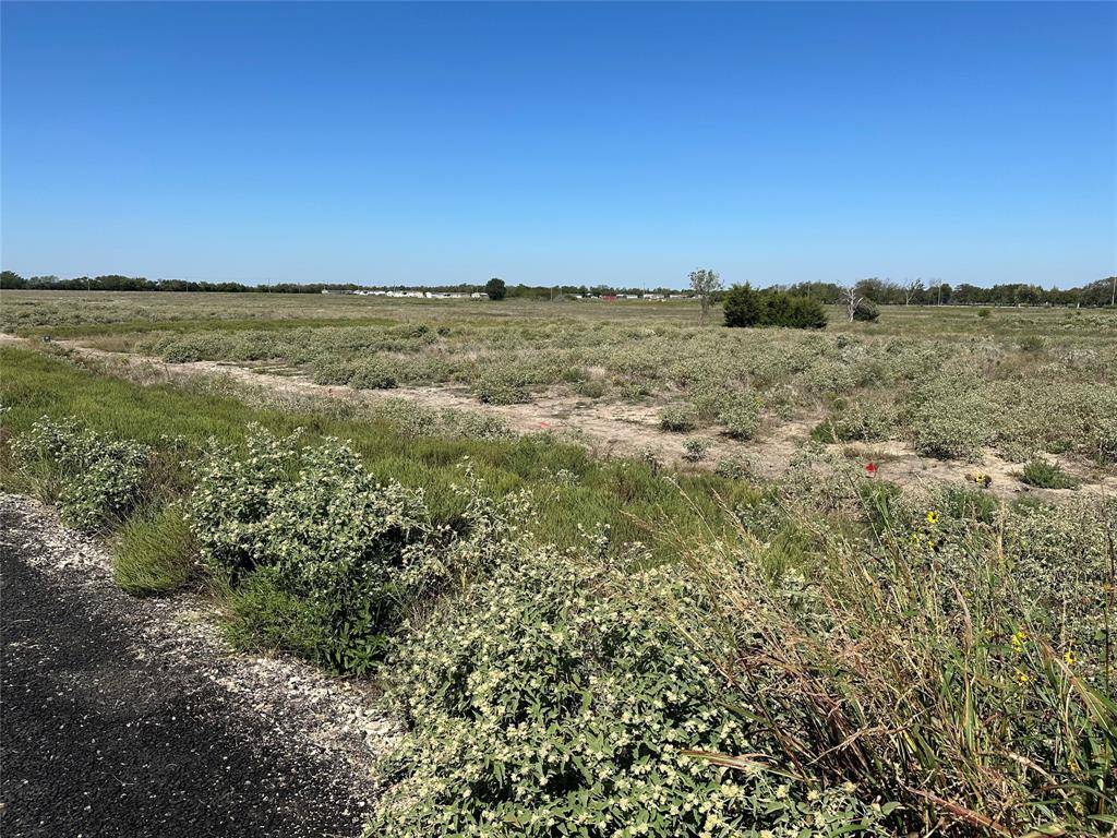 Celeste, TX 75423,Lot11 Willow Road