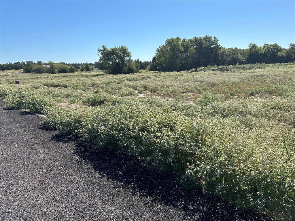 Celeste, TX 75423,Lot 28 Willow Road