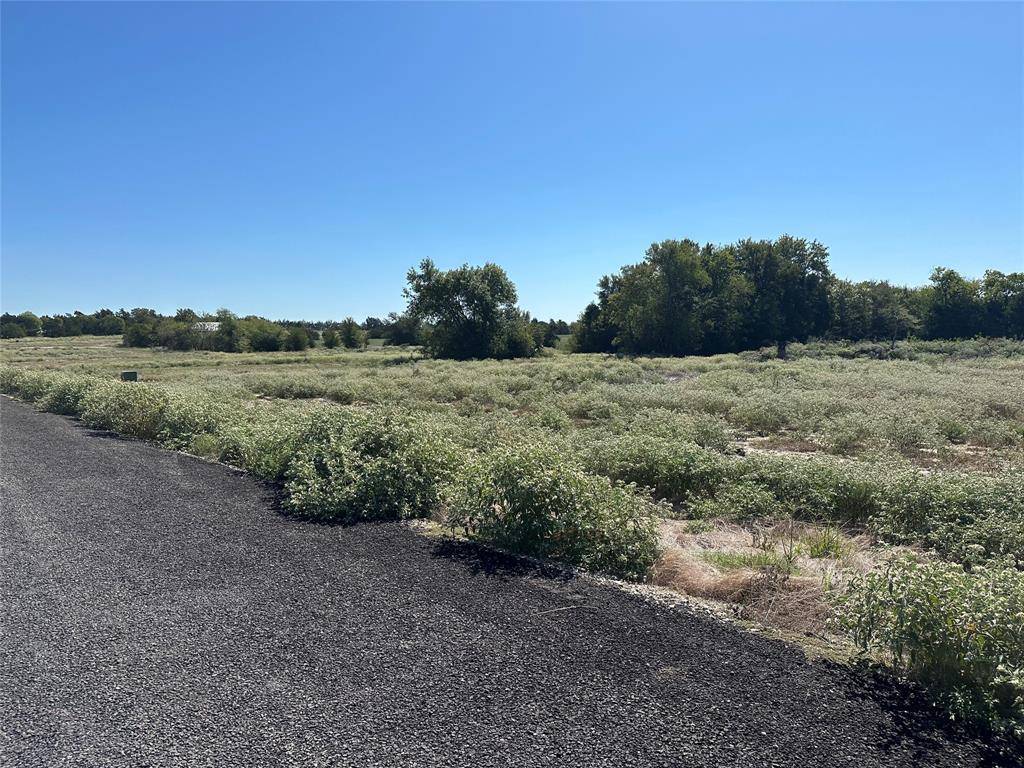 Celeste, TX 75423,Lot 28 Willow Road