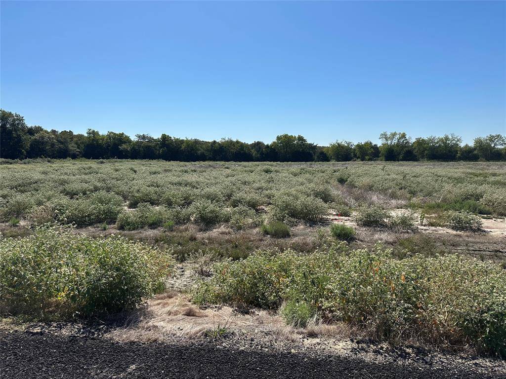 Celeste, TX 75423,Lot 29 Willow Road