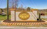 Ellijay, GA 30540,L812 Myna Drive