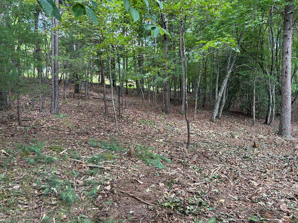 Blairsville, GA 30512,Lot 4 Maple Way