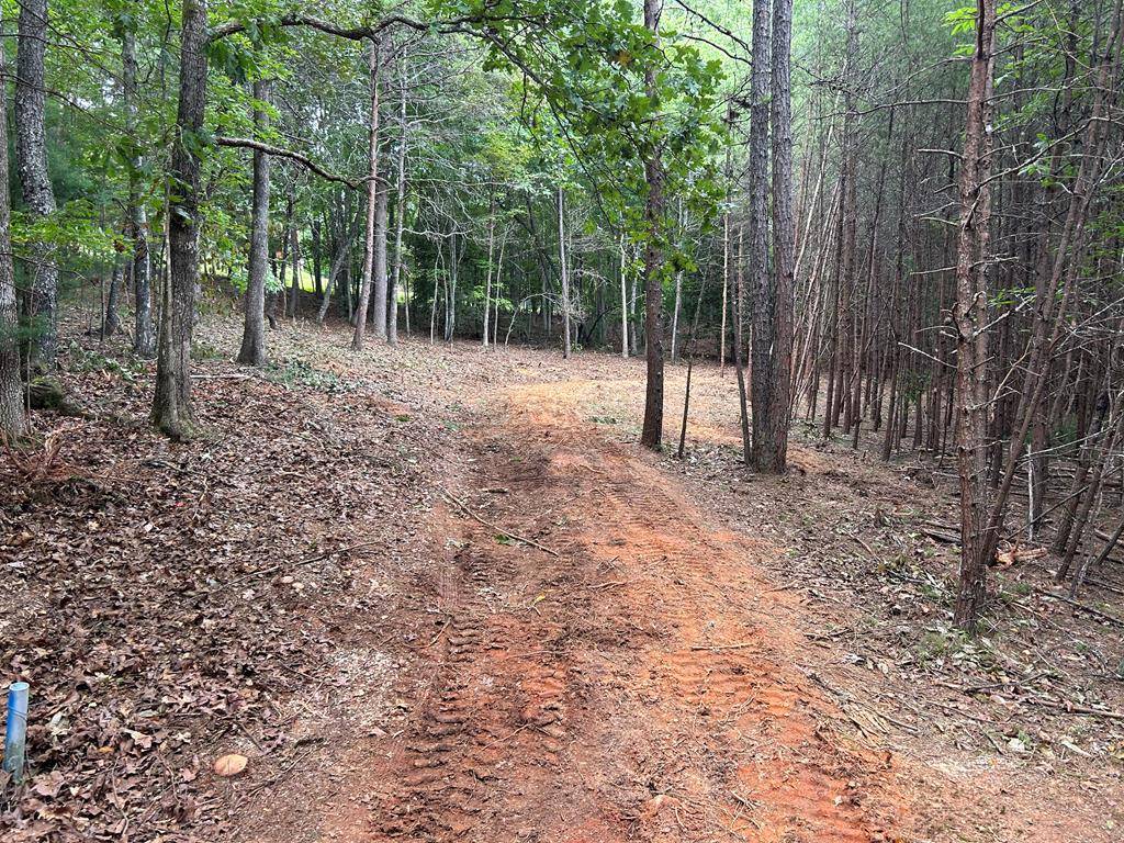 Blairsville, GA 30512,Lot 4 Maple Way