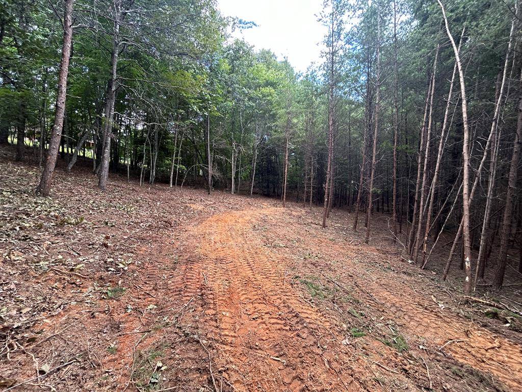 Blairsville, GA 30512,Lot 4 Maple Way