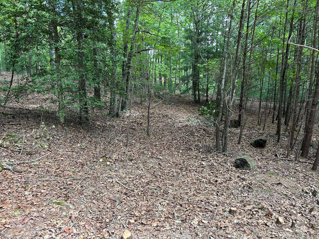 Blairsville, GA 30512,Lot 4 Maple Way