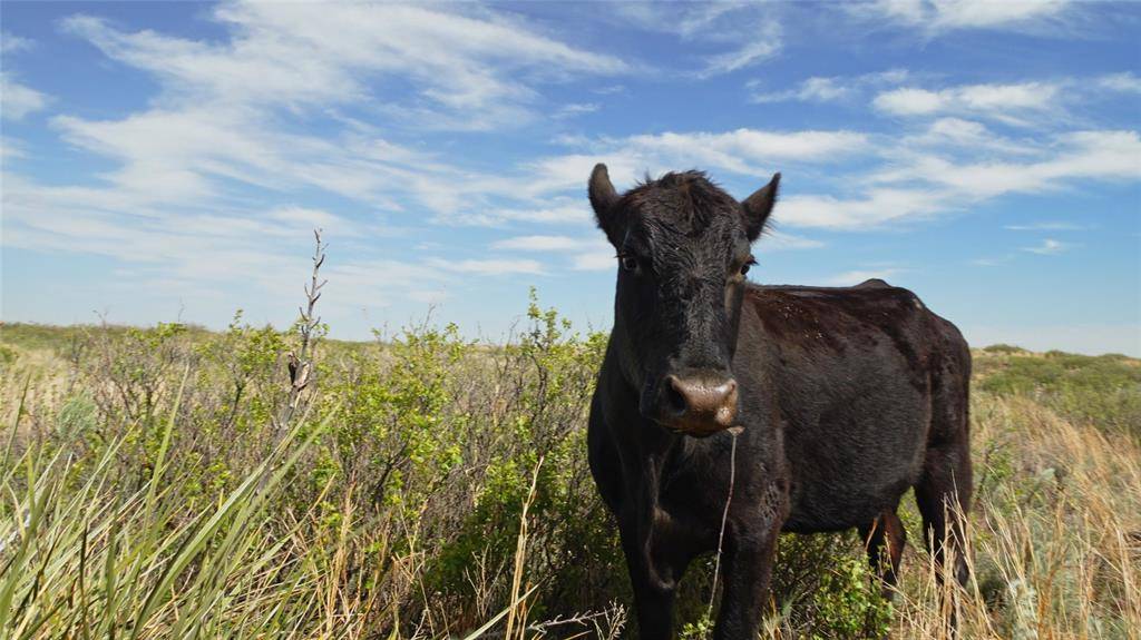 Mclean, TX 79057,TBD SH-273