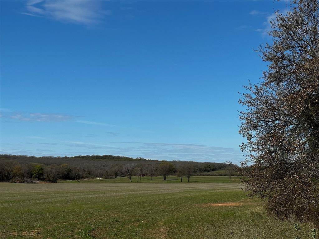 Rising Star, TX 76471,TBD County Road 437