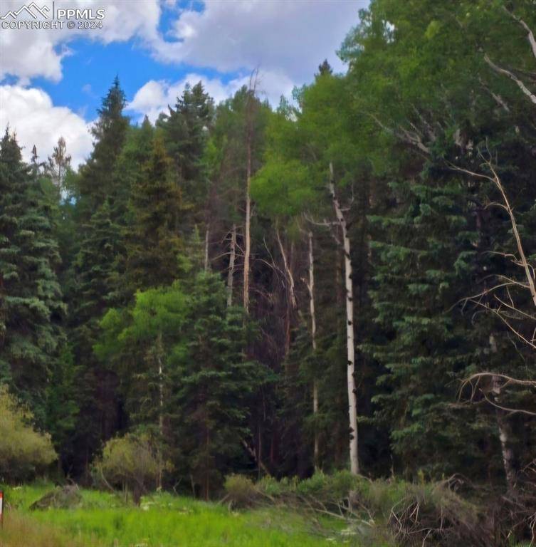 Florissant, CO 80816,524 Spring Valley LN