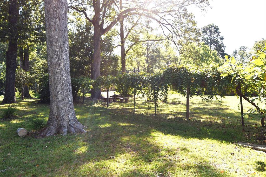 Minden, LA 71055,Lot # 49 Bryan Street