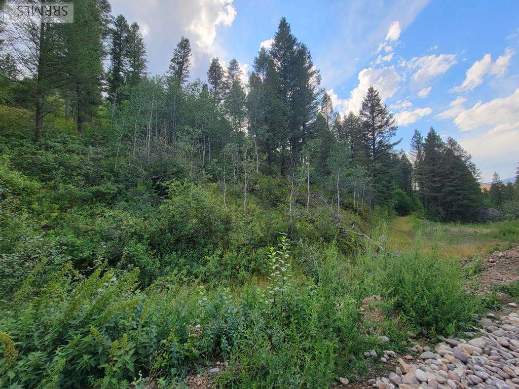 Irwin, ID 83428,L37B4 Palisades Creek Road