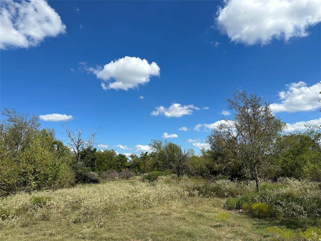 Terrell, TX 75160,TBD Lot 21 Frank Street