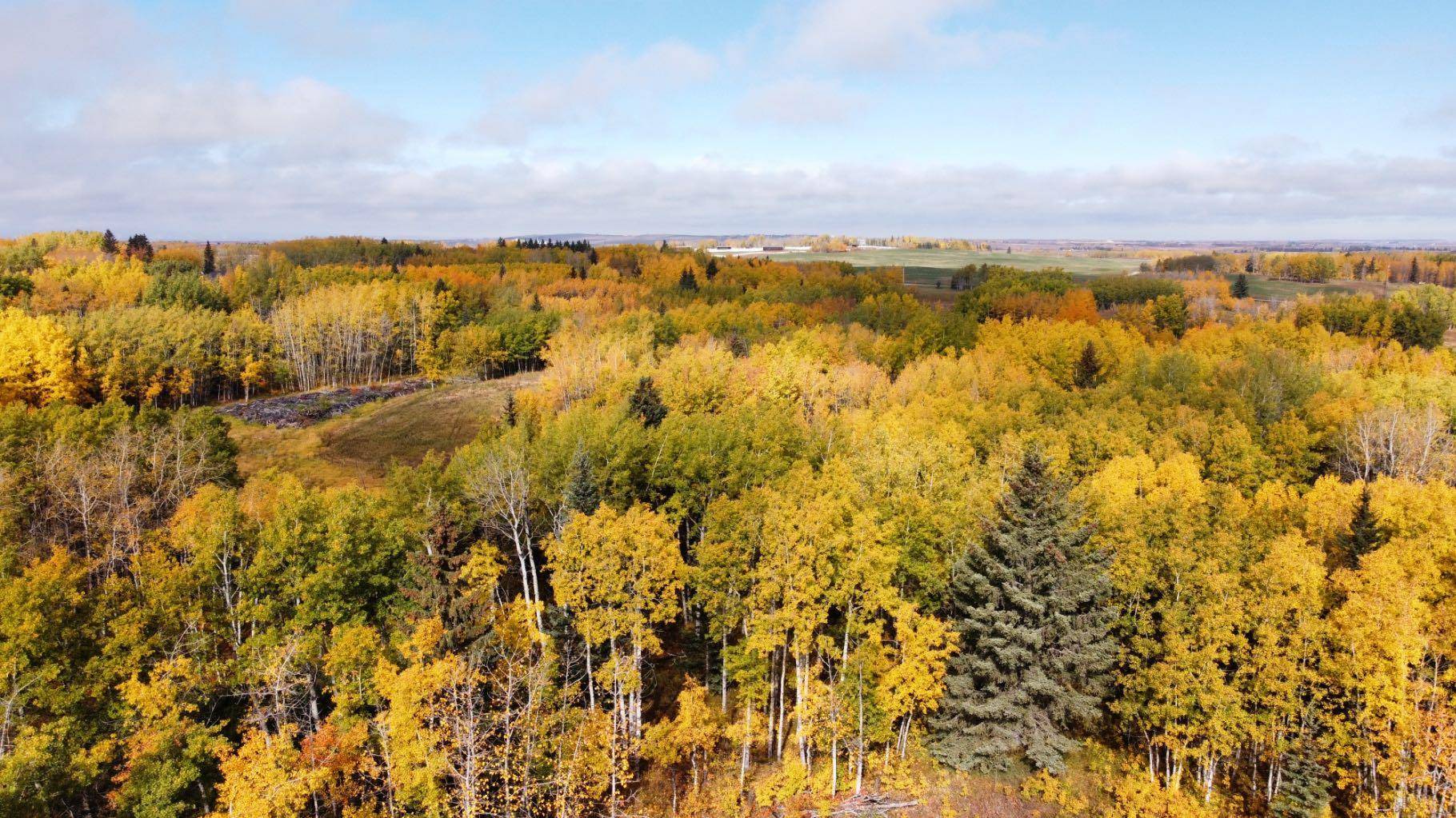 Rural Rocky View County, AB T4C2Y8,Lot 6 Elkstone EST