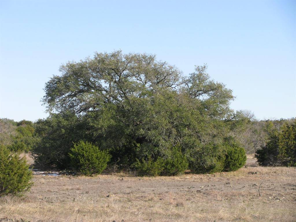 Jonesboro, TX 76538,TBD County Rd 186