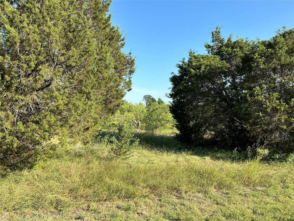 Whitney, TX 76692,39300 Cedar Trail