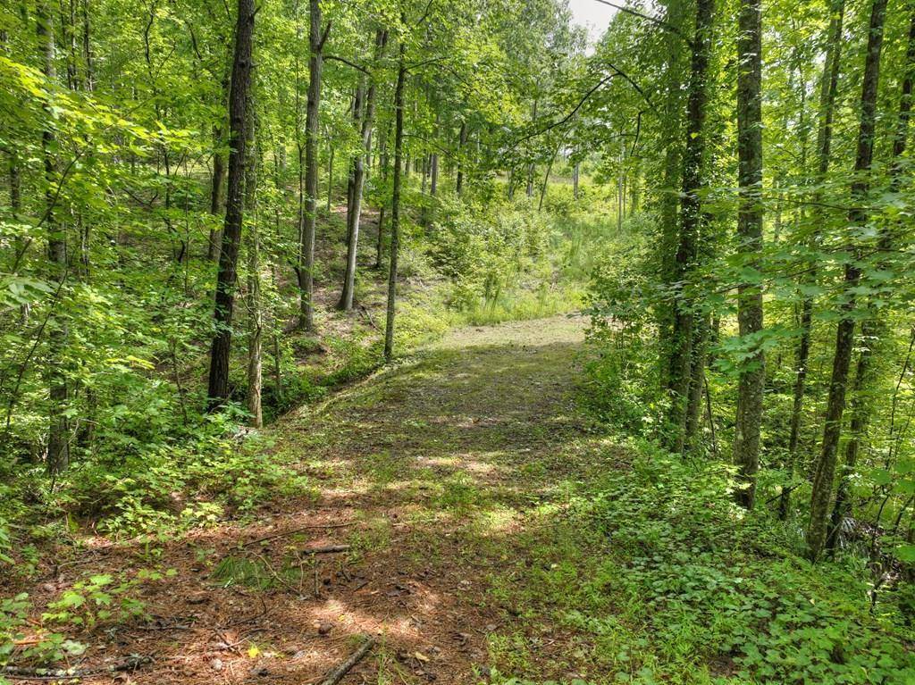 Ellijay, GA 30536,Lt. 127 Red Hawk Trail