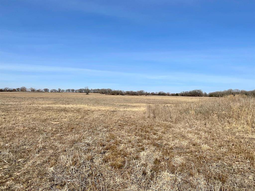 Montague, TX 76251,Lot 1 Fm 455