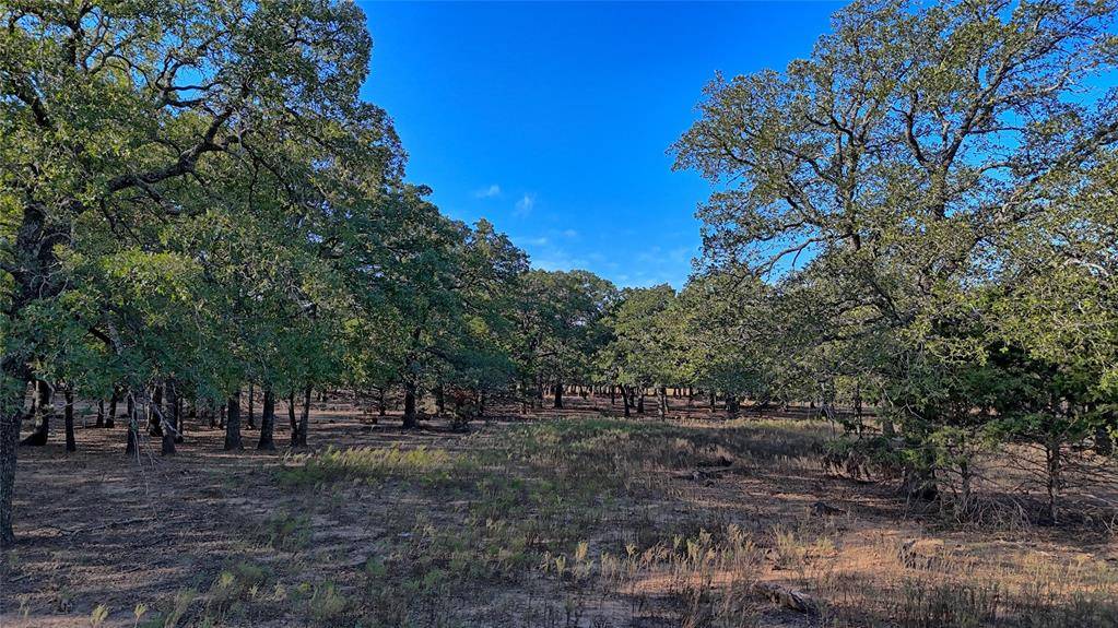 Saint Jo, TX 76265,TBD Thompson Road