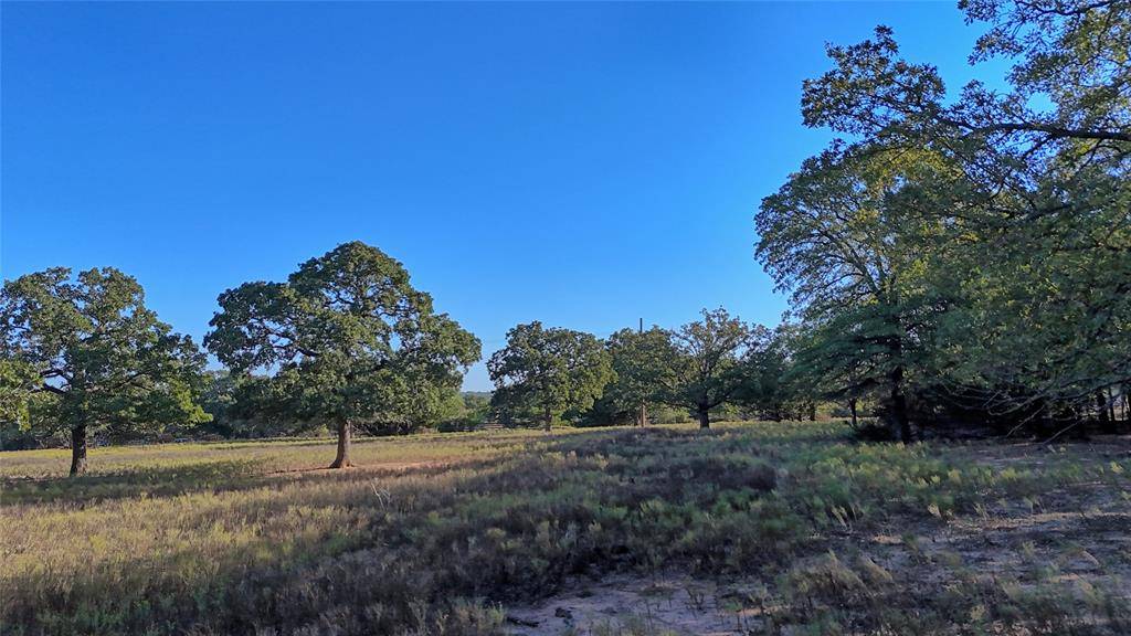 Saint Jo, TX 76265,TBD Thompson Road