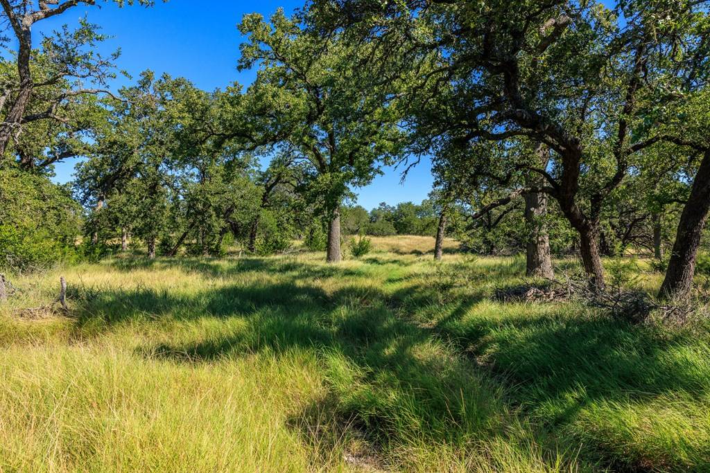 Fredericksburg, TX 78624,000 -- Ottmers Rd