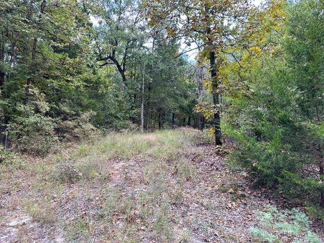 Winnsboro, TX 75494,TBD 4.90 Acres CR 3390