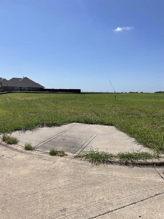 Gunter, TX 75058,1401 Taylor Court