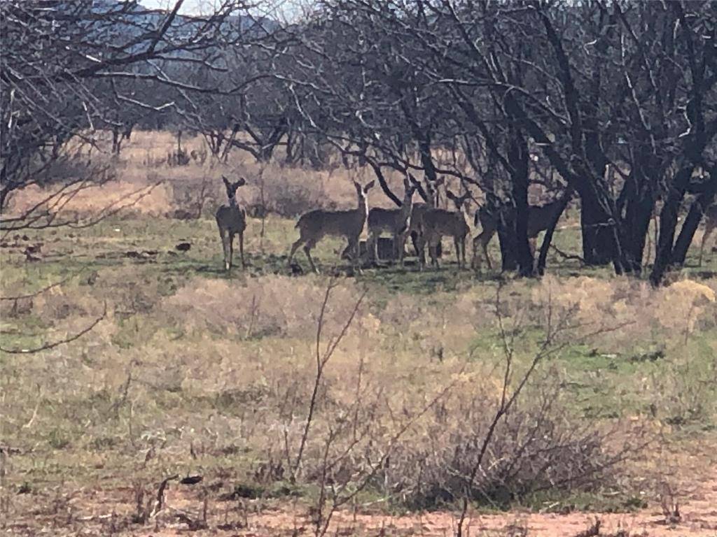 Abilene, TX 79602,90 Acre Bacacita Farms Road