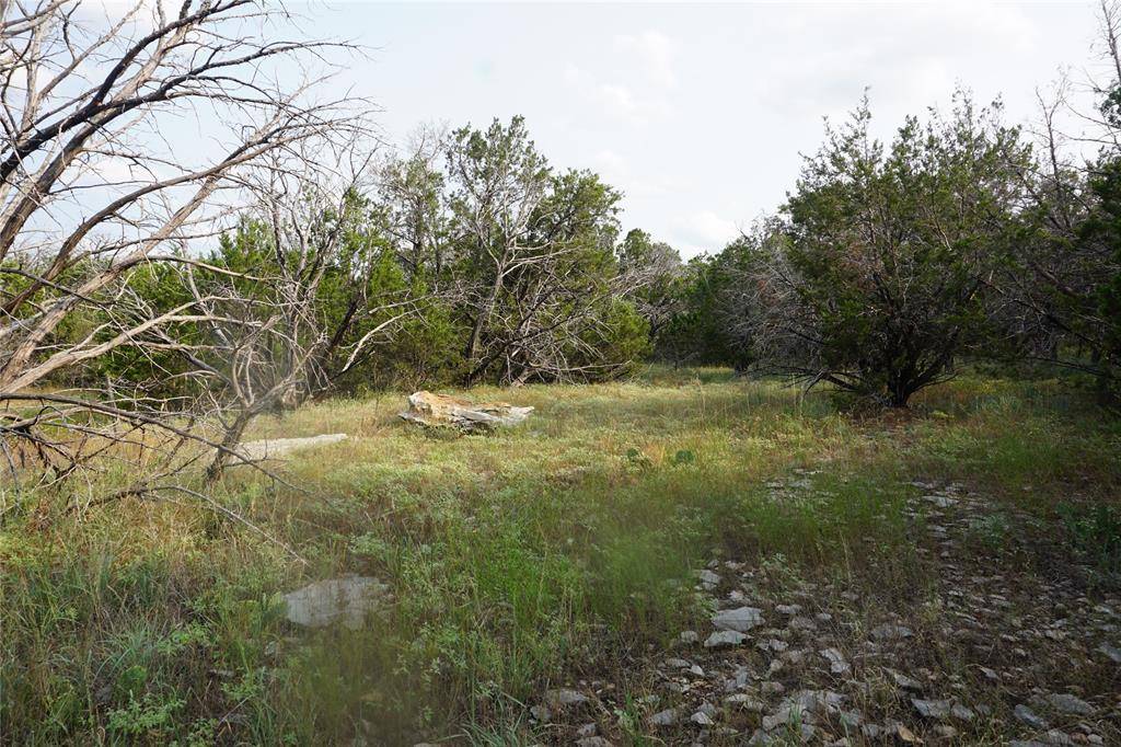 Possum Kingdom Lake, TX 76449,Lot 28 Rawhide Ridge