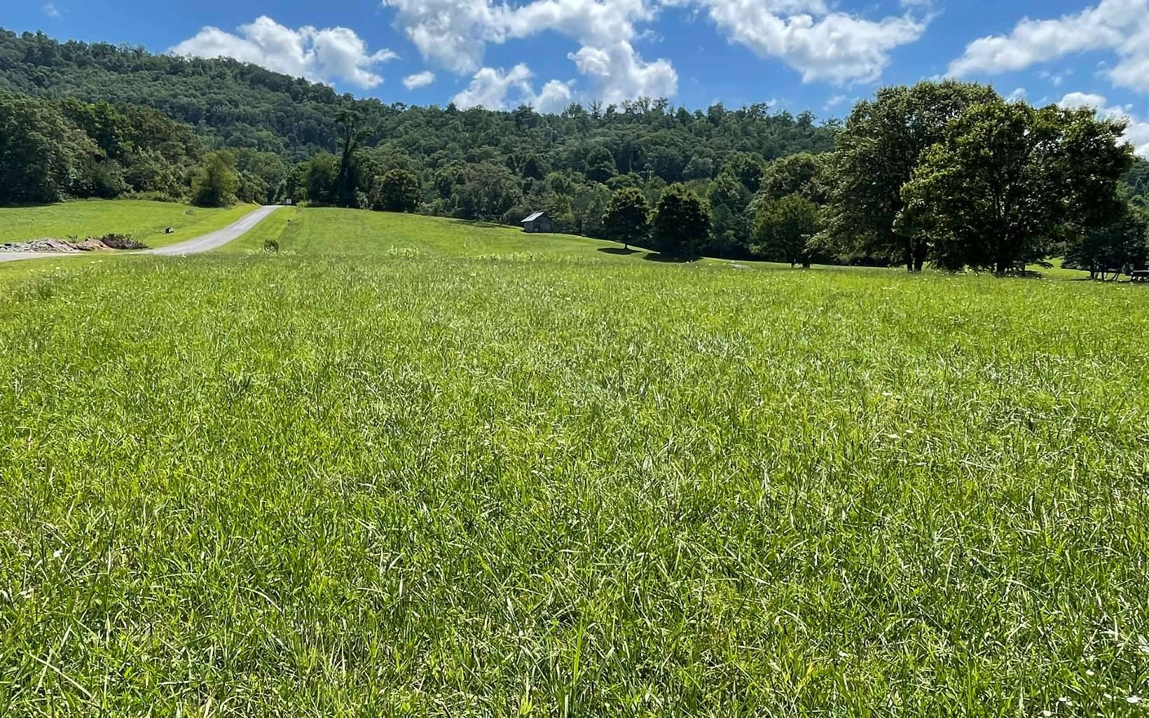 Hayesville, NC 28904,8M Ridges Overlook