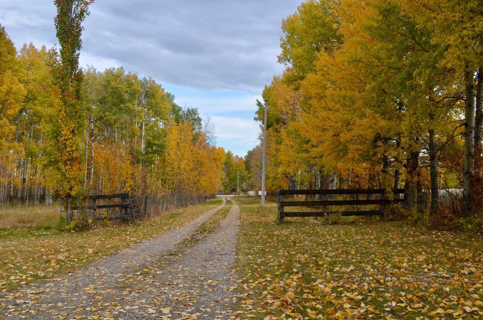 Rural Clearwater County, AB T0M 0M0,370050 Range Road 6-1