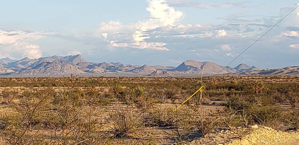 Terlingua, TX 79852,540 Martinez Rd.