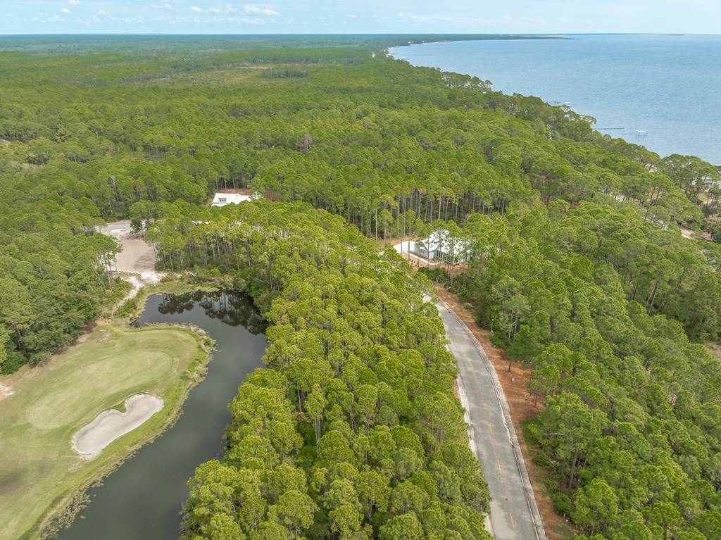 Carrabelle, FL 32323,159 Royal Tern Way