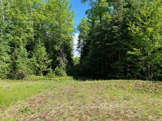 Bancroft, ON K0L 1C0,Lot 27 Bancroft Ridge DR