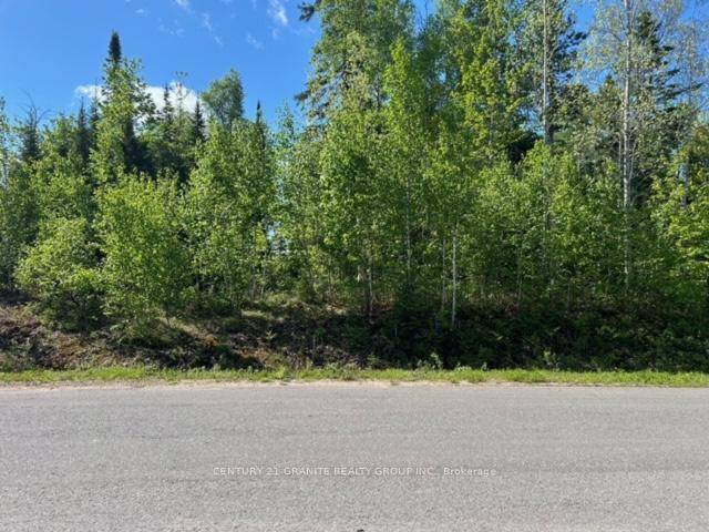 Bancroft, ON K0L 1C0,Lot 27 Bancroft Ridge DR