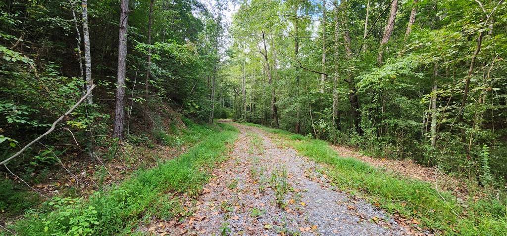 Ellijay, GA 30540,22.65 AC Letch Drive