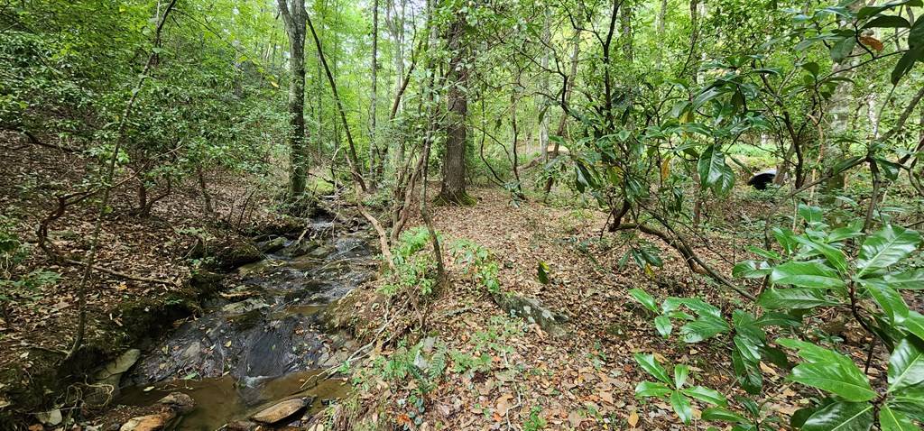 Ellijay, GA 30540,22.65 AC Letch Drive