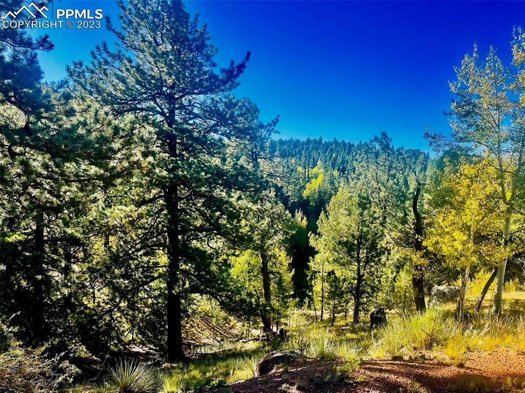 Cripple Creek, CO 80813,456 Idlewild DR