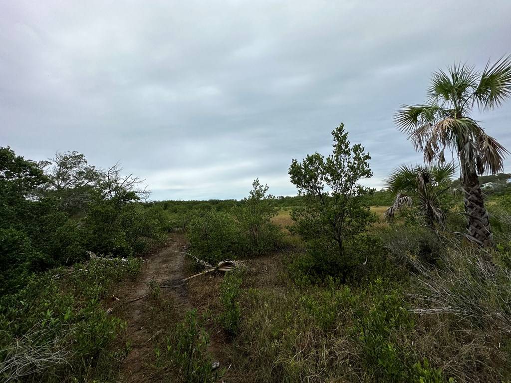 Cedar Key, FL 32625,5 Lots Ingleside Pl