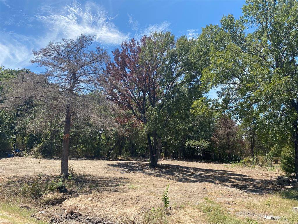 Elm Mott, TX 76640,TBD Frostdale Drive