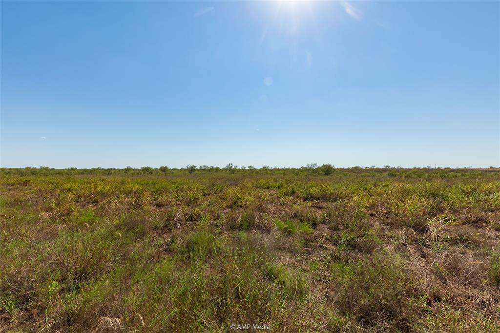 Hawley, TX 79525,TBD CR 483