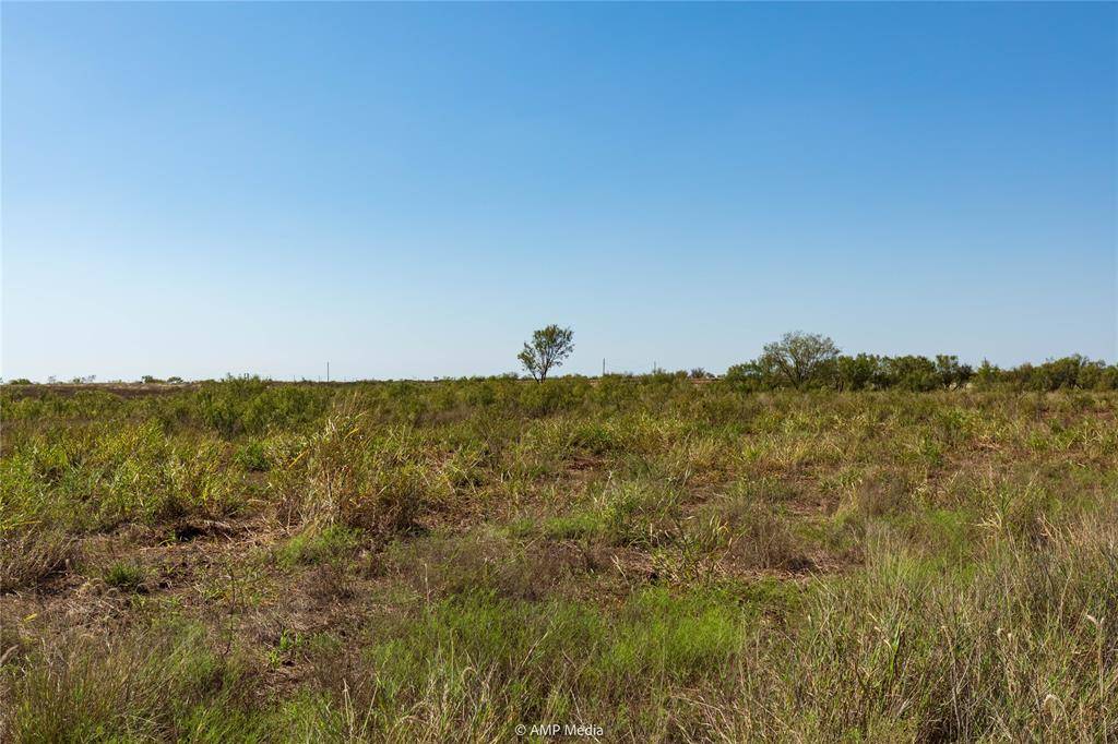 Hawley, TX 79525,TBD CR 483