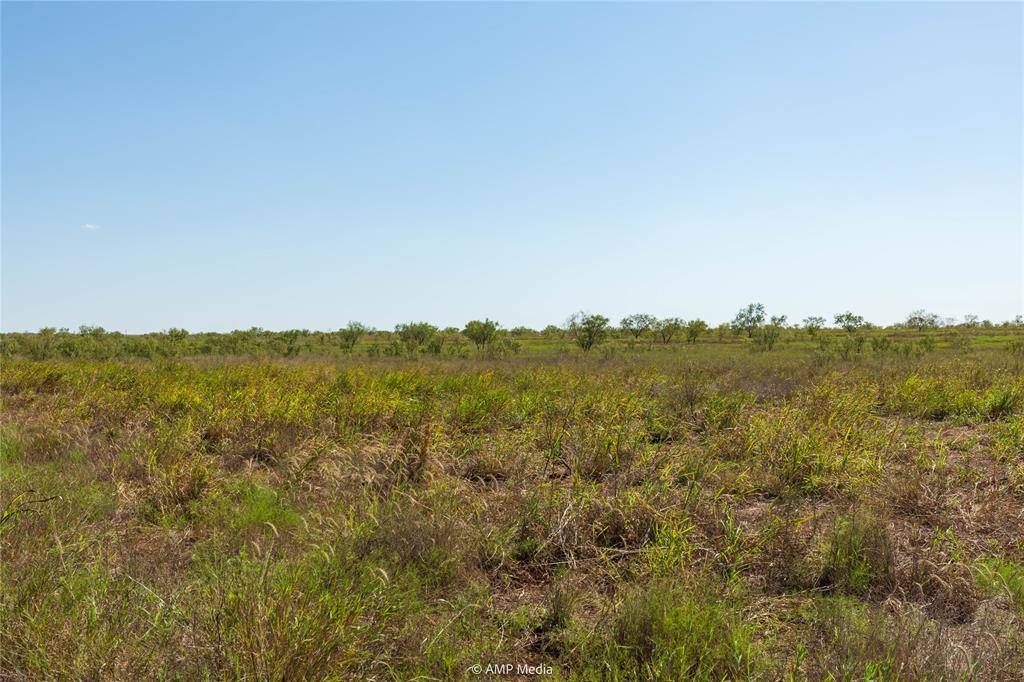 Hawley, TX 79525,TBD CR 483