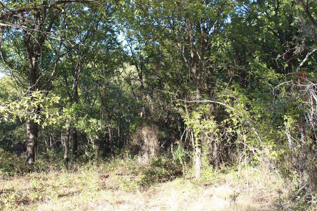 Nocona, TX 76255,000 Eureka School Road