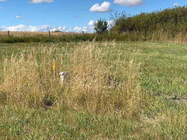 Rural Rocky View County, AB T0M 0S0,Lot 2 Twp Rd 290