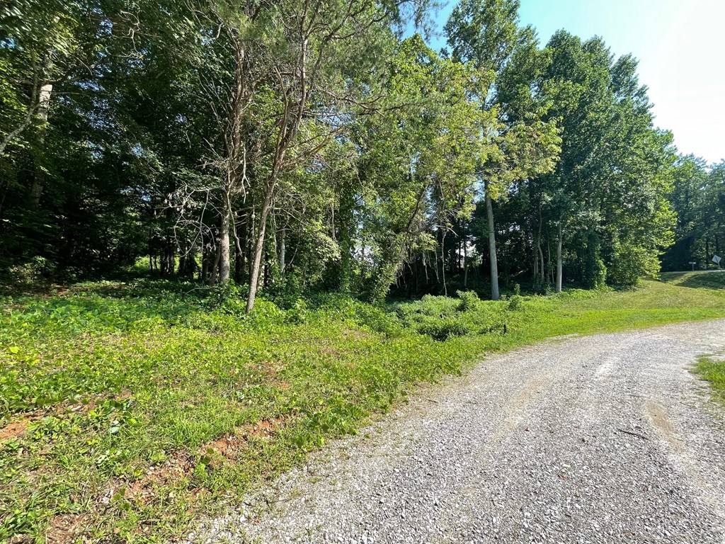 Blairsville, GA 30512,1.87 AC Hwy 180 And 348